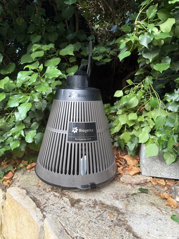 🦟 Traitement efficace des moustiques à Draguignan – Pest Wars 4D